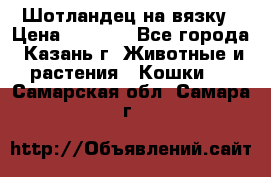 Шотландец на вязку › Цена ­ 1 000 - Все города, Казань г. Животные и растения » Кошки   . Самарская обл.,Самара г.